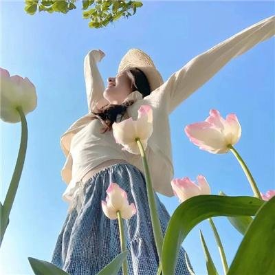 明星经纪人生存记 在线观看