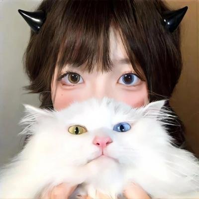 光速蒙面侠21 在线观看