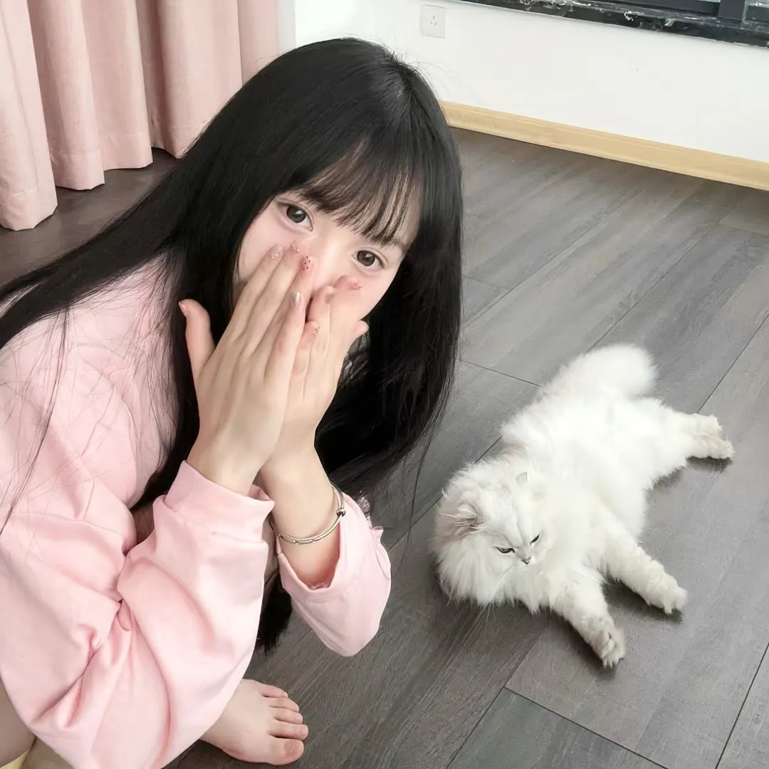 重返汉斯 在线观看